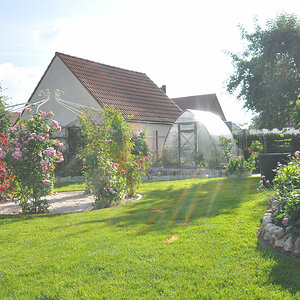 DSC 9840o
