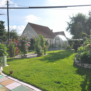 DSC 9838o