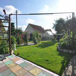 DSC 9836o