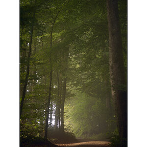 MorgenPZ1 8201