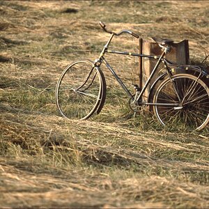 comp Fahrrad im Heu