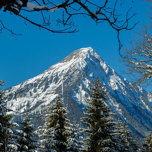 Natur  20070128 024