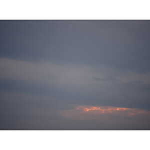 MorgenPZ1 7619