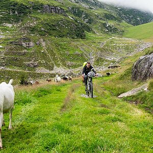 Schweiz 2016 12