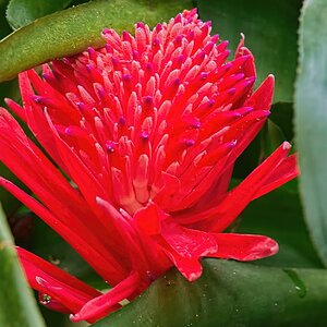 Image00009k