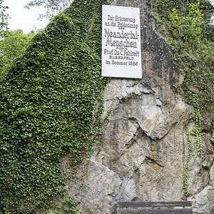 Neanderthal Bank 1