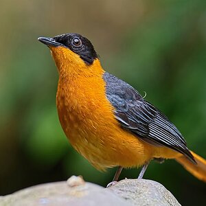 Image00013k