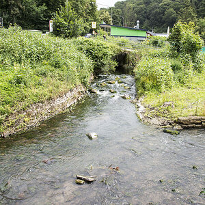 Mettmanner Bach Düssel