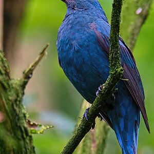 Image00014k