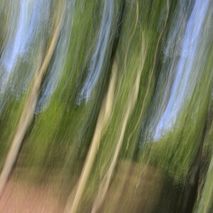 DSC1258