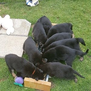 IMG 20180901 WA0040 Kopie