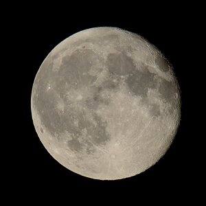 D8E 9586 copy 1303