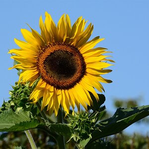 DSC 7706