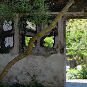 DSC 1436