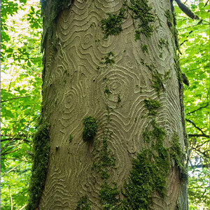 P5080709