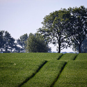 insel poel feld 1200