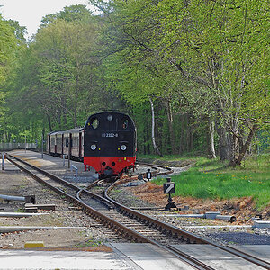 DSC 3318APxl