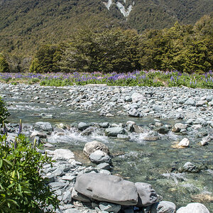 eglinton river