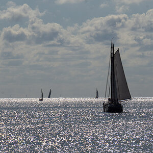 DSC0675 w