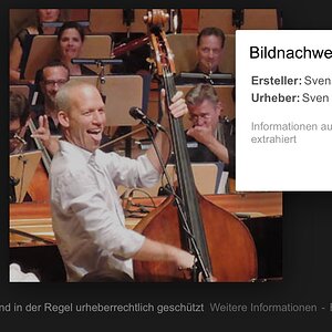 Google Bildersuche