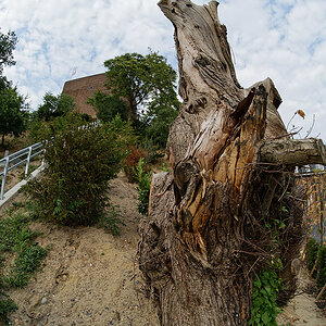DSC 4930a