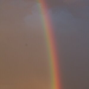 Regenbogen