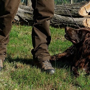 Was jetzt?