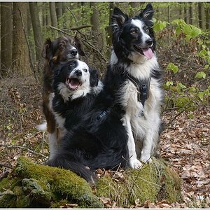 3 posing