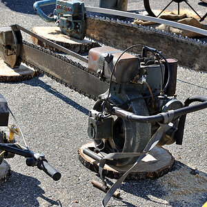 Kettensäge [DSC_0733]