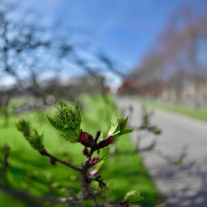 erstes Blatt