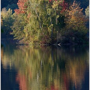 herbst4