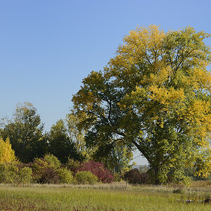 herbst 12