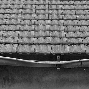 DSC0168PASWxl
