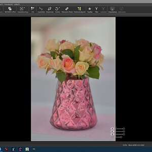 Kontrollpunkt in Capture-NX-D Ver. 1.5