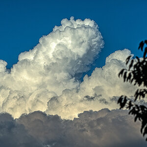 Altocumulus
