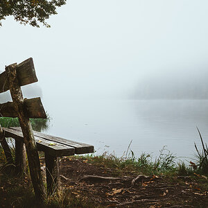 Bank am Blaibacher See im herbstlichen Nebel