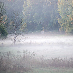 Bodennebel