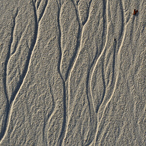 20181012 110400 norwegen 2018 sand