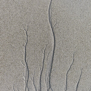 20181012 104501 norwegen 2018 sand