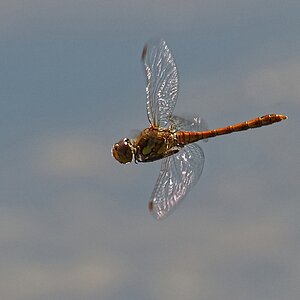 DSC 6737k