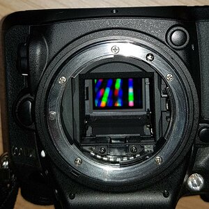 d7100 001