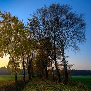 Herbstliche Morgensonne