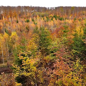 Blick ins Mädertal 2018 24450