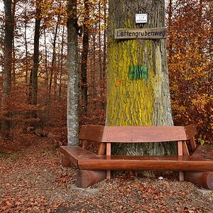 Johannes Konath Eiche 2018 24466