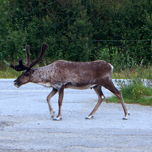 N22k