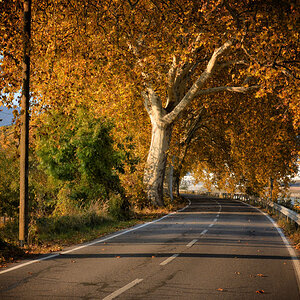 allee 1200
