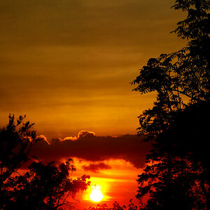 DSCN2654