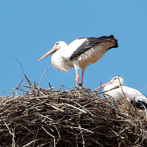 DSCN5016