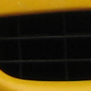 IMG 1238 1