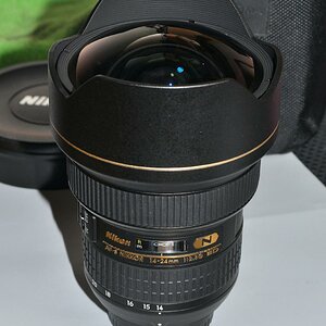 DSC 10176